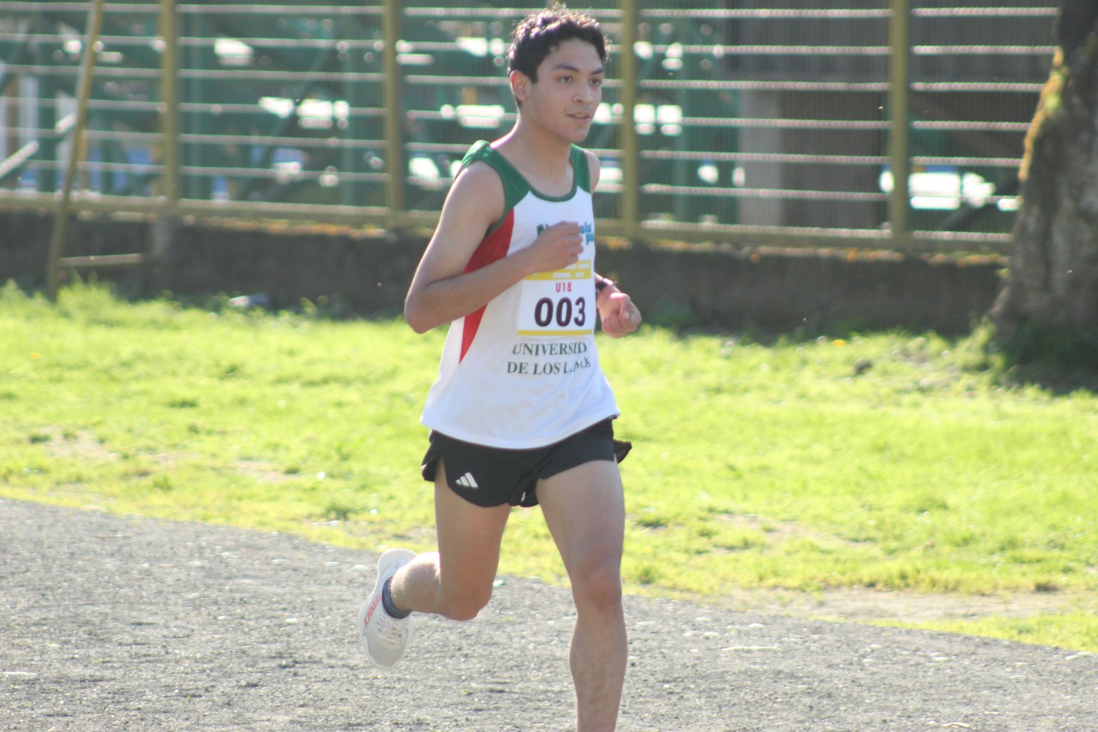 Campeonato Regional Cross Country Osorno