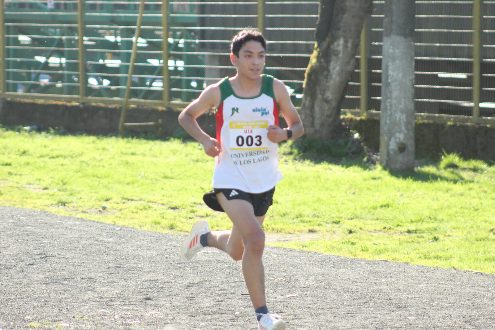 Campeonato Regional Cross Country Osorno