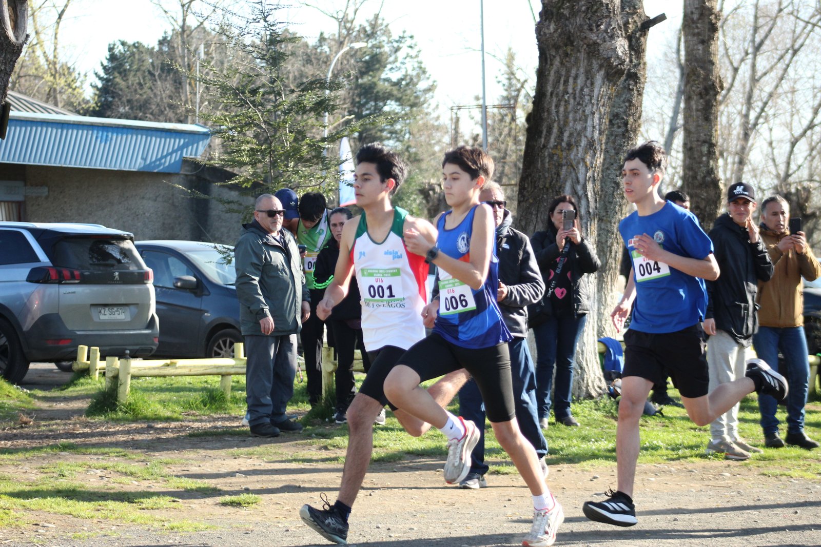 Campeonato Regional Cross Country Osorno