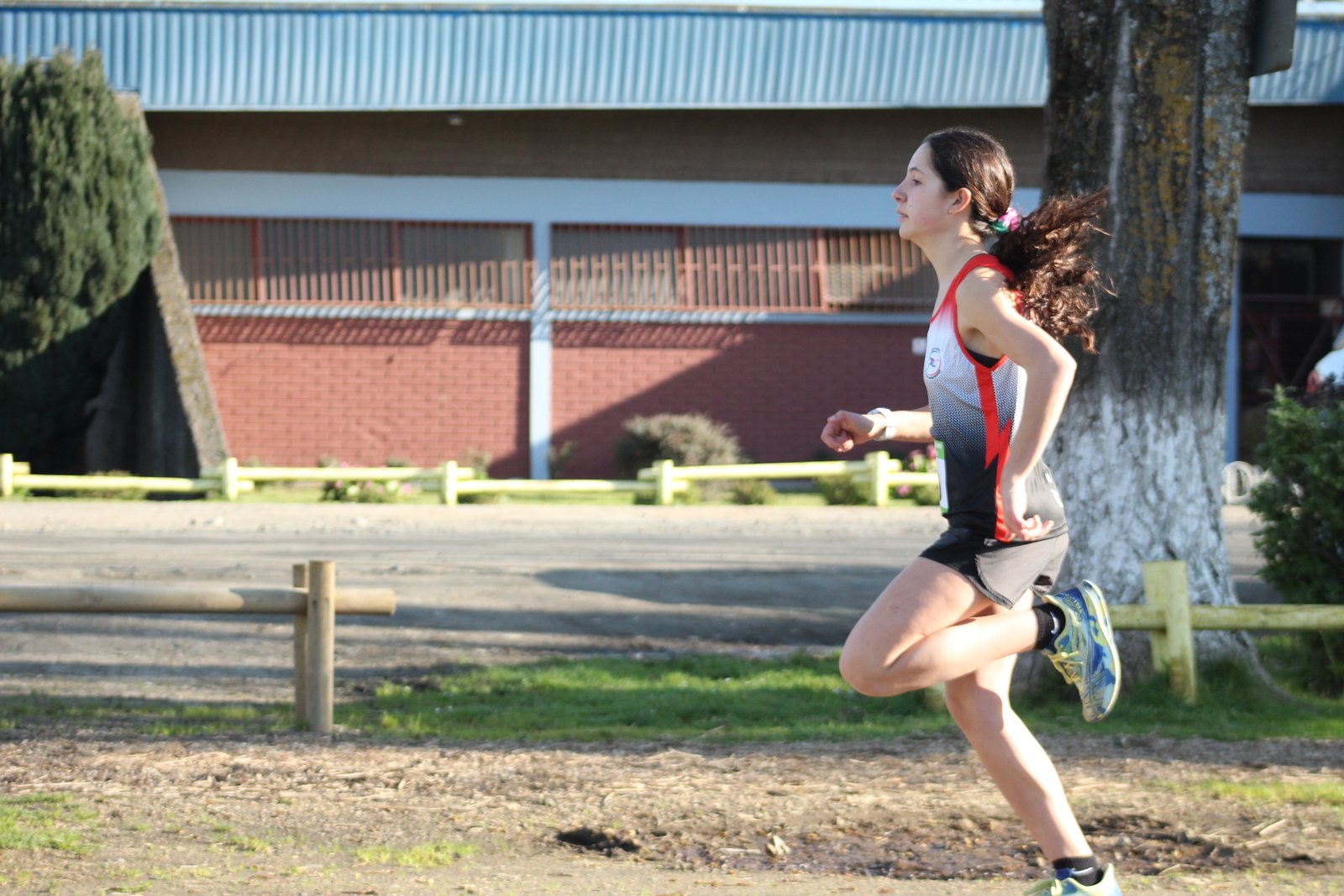 Campeonato Regional Cross Country Osorno