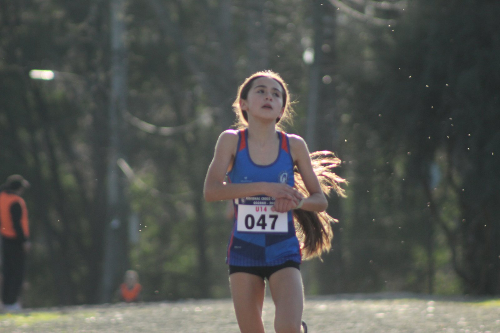 Campeonato Regional Cross Country Osorno