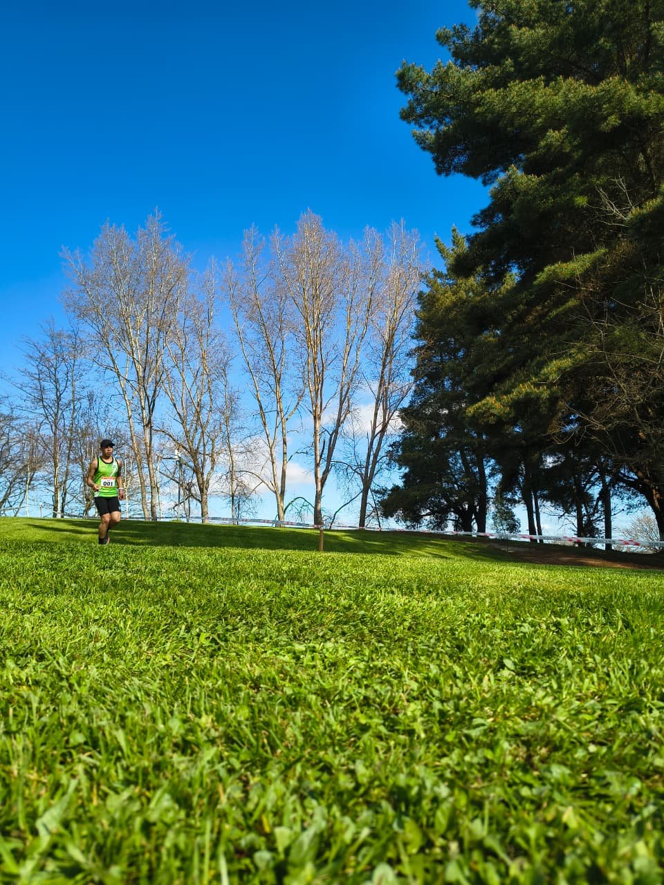 Campeonato RegionalCross Country