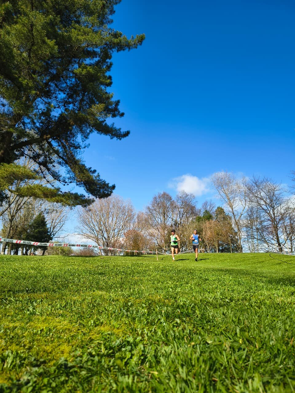 Campeonato RegionalCross Country