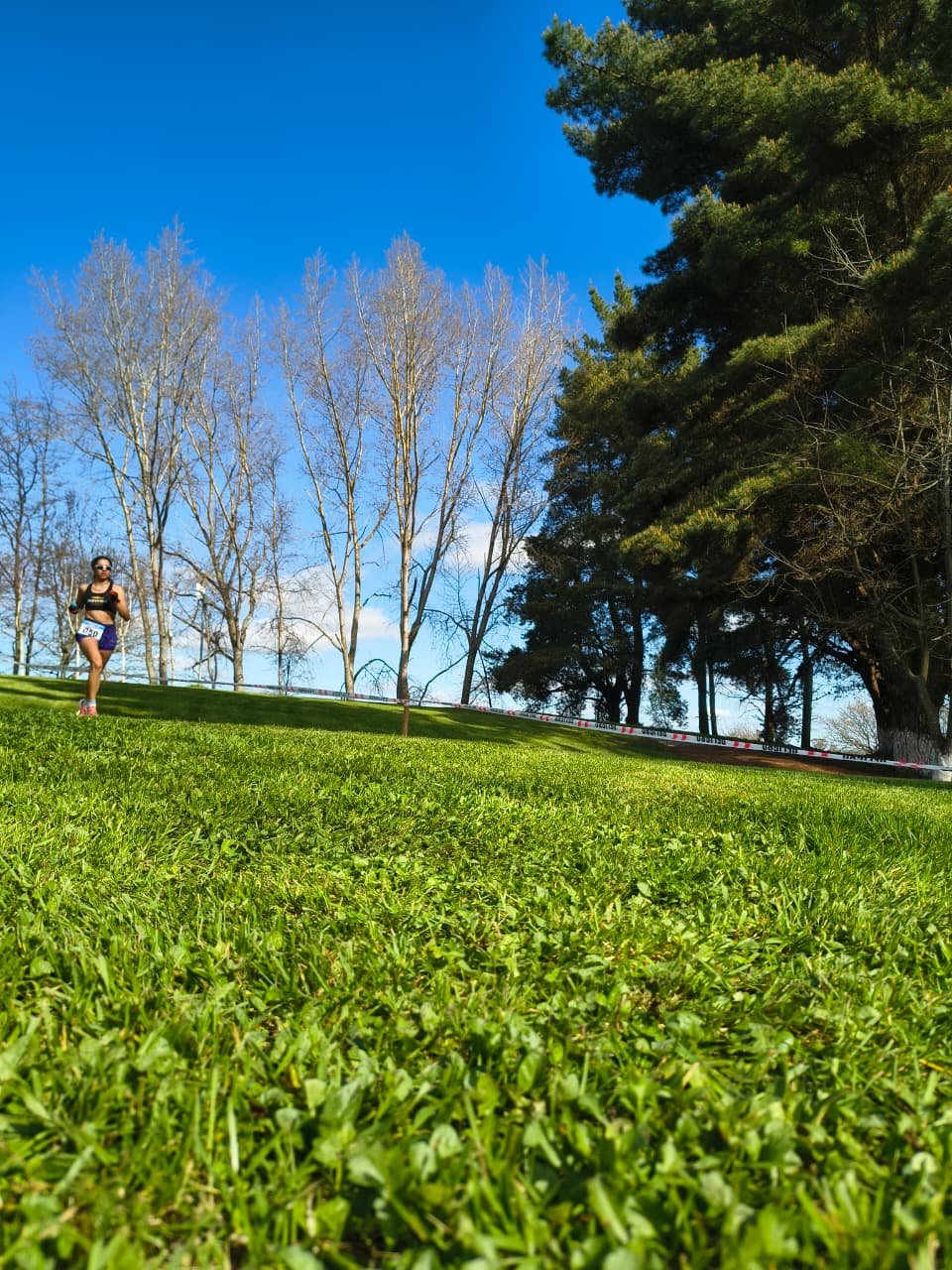 Campeonato RegionalCross Country