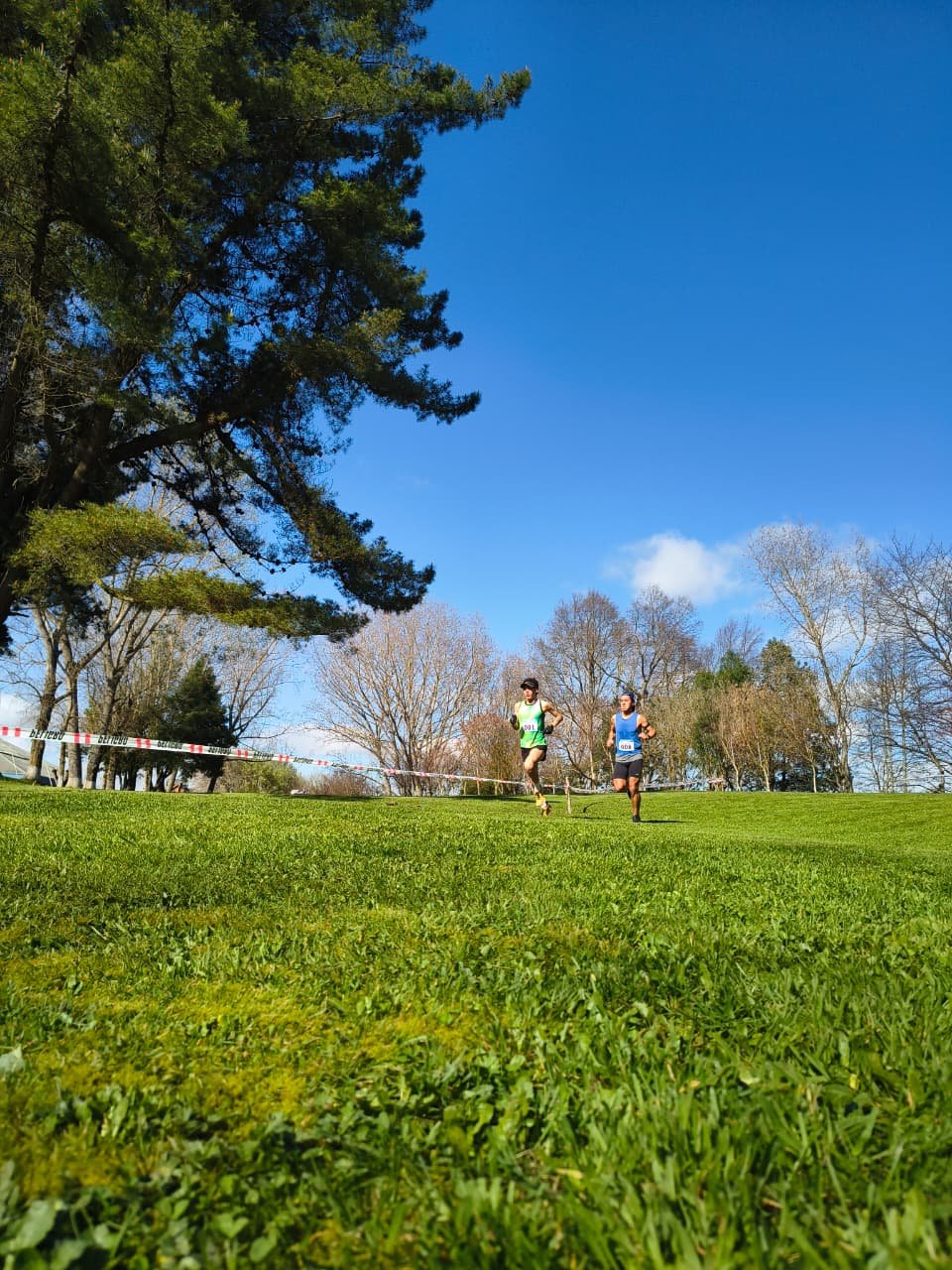 Campeonato RegionalCross Country