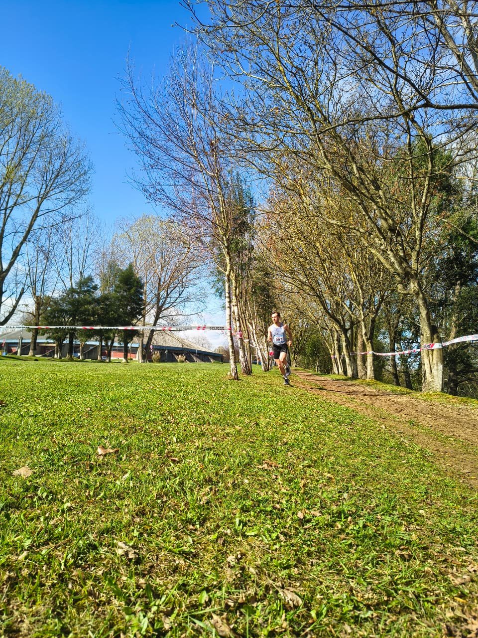 Campeonato RegionalCross Country