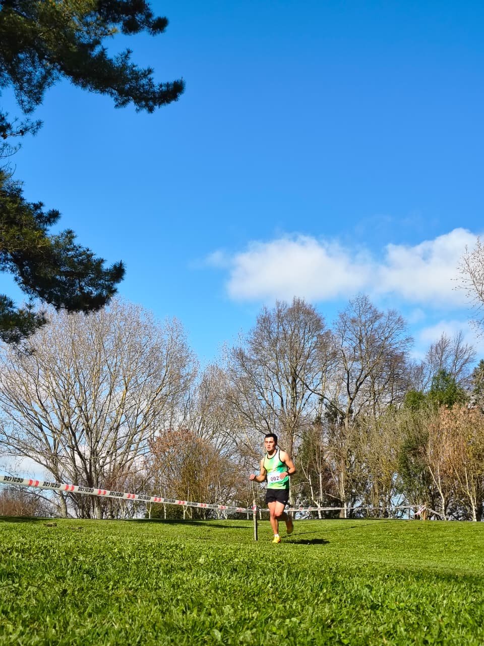 Campeonato RegionalCross Country