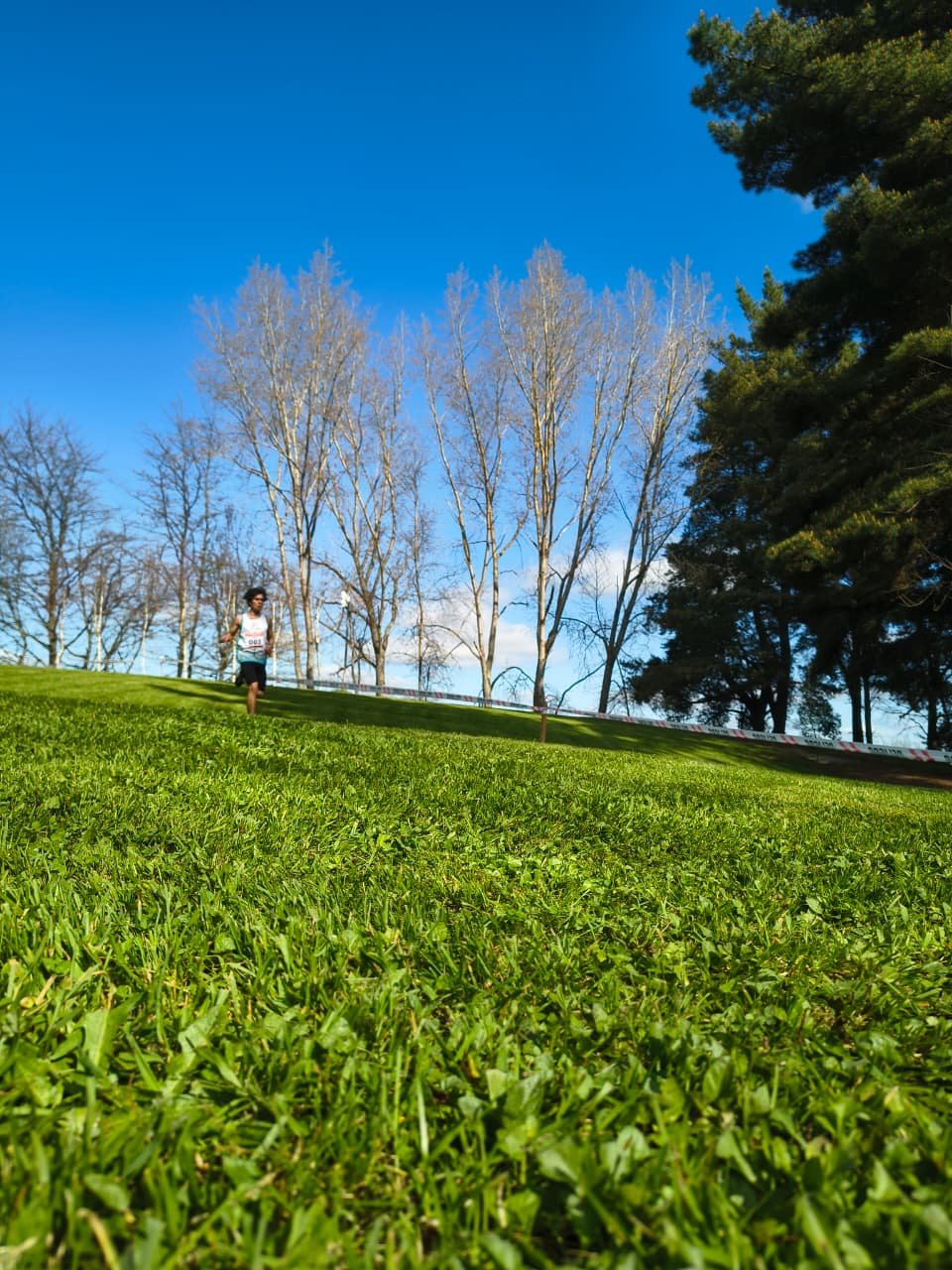Campeonato RegionalCross Country