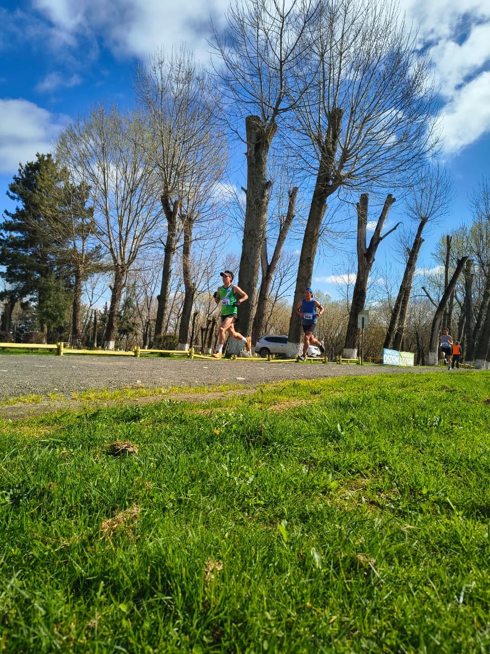 Campeonato RegionalCross Country