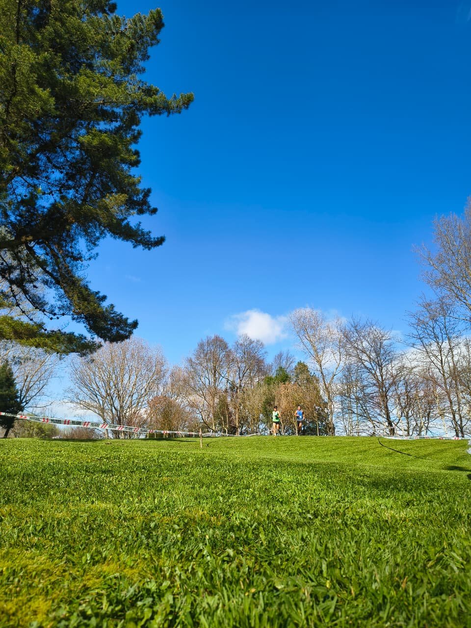 Campeonato RegionalCross Country