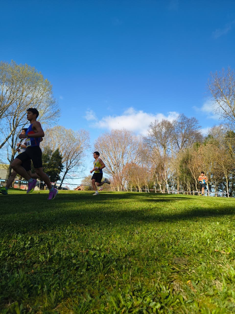 Campeonato RegionalCross Country