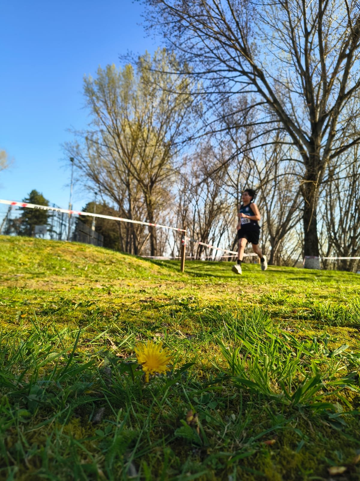 Campeonato RegionalCross Country