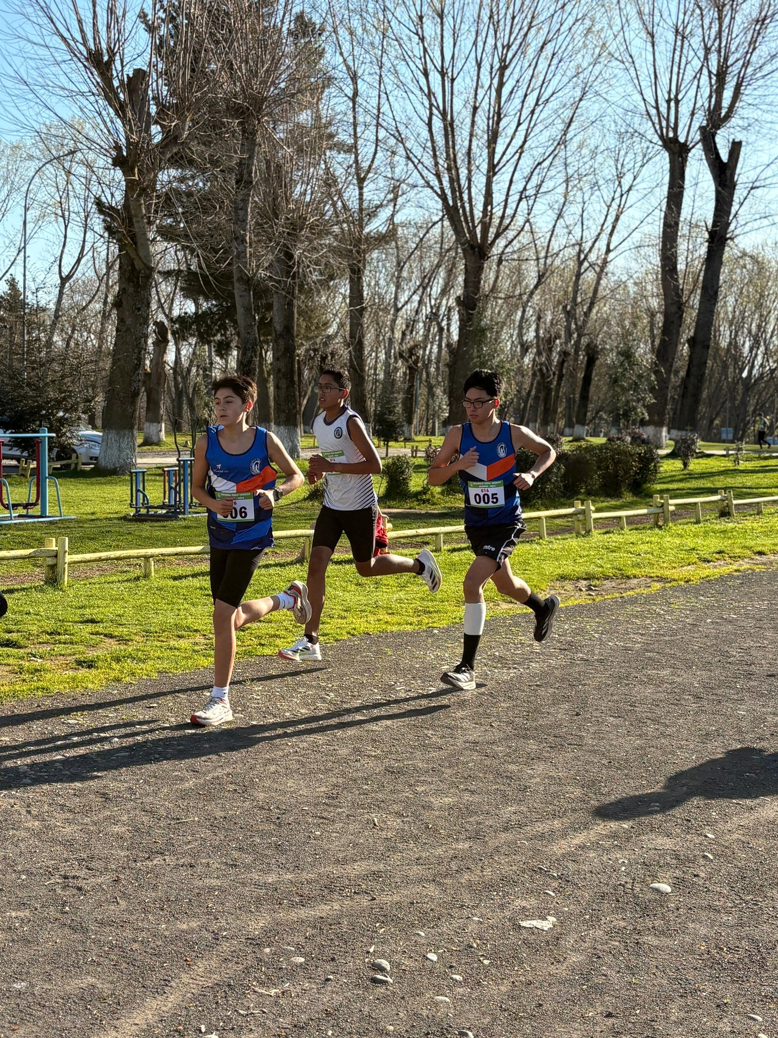 Campeonato RegionalCross Country