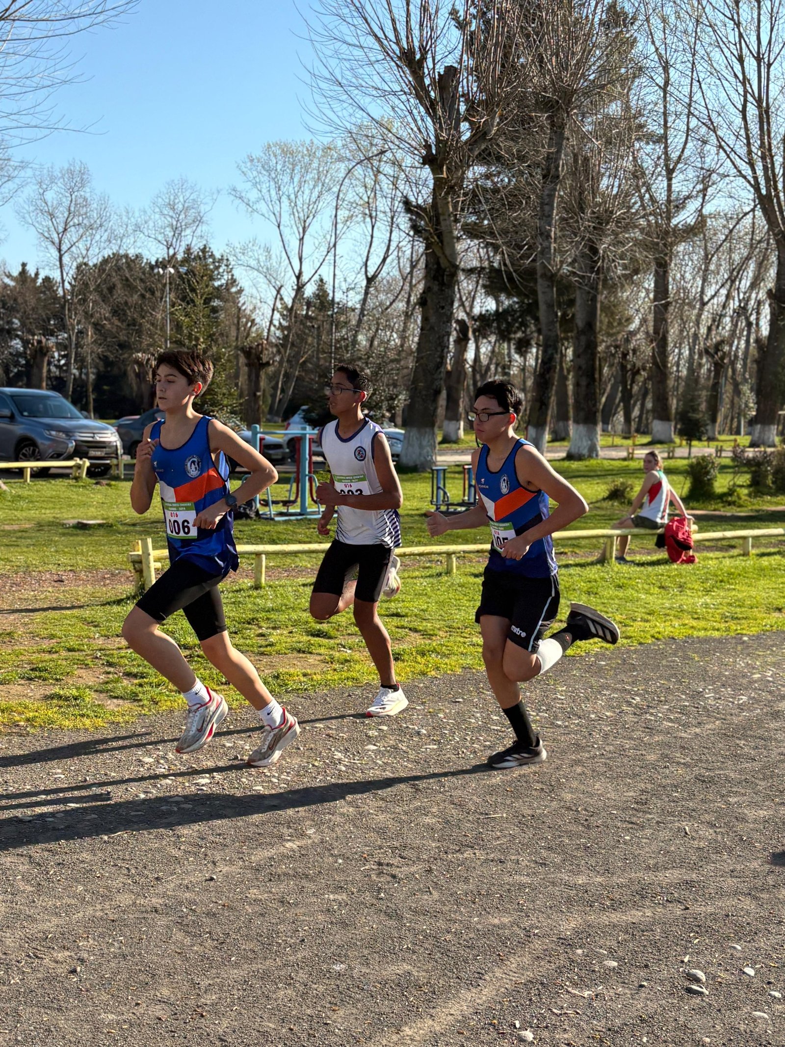 Campeonato RegionalCross Country