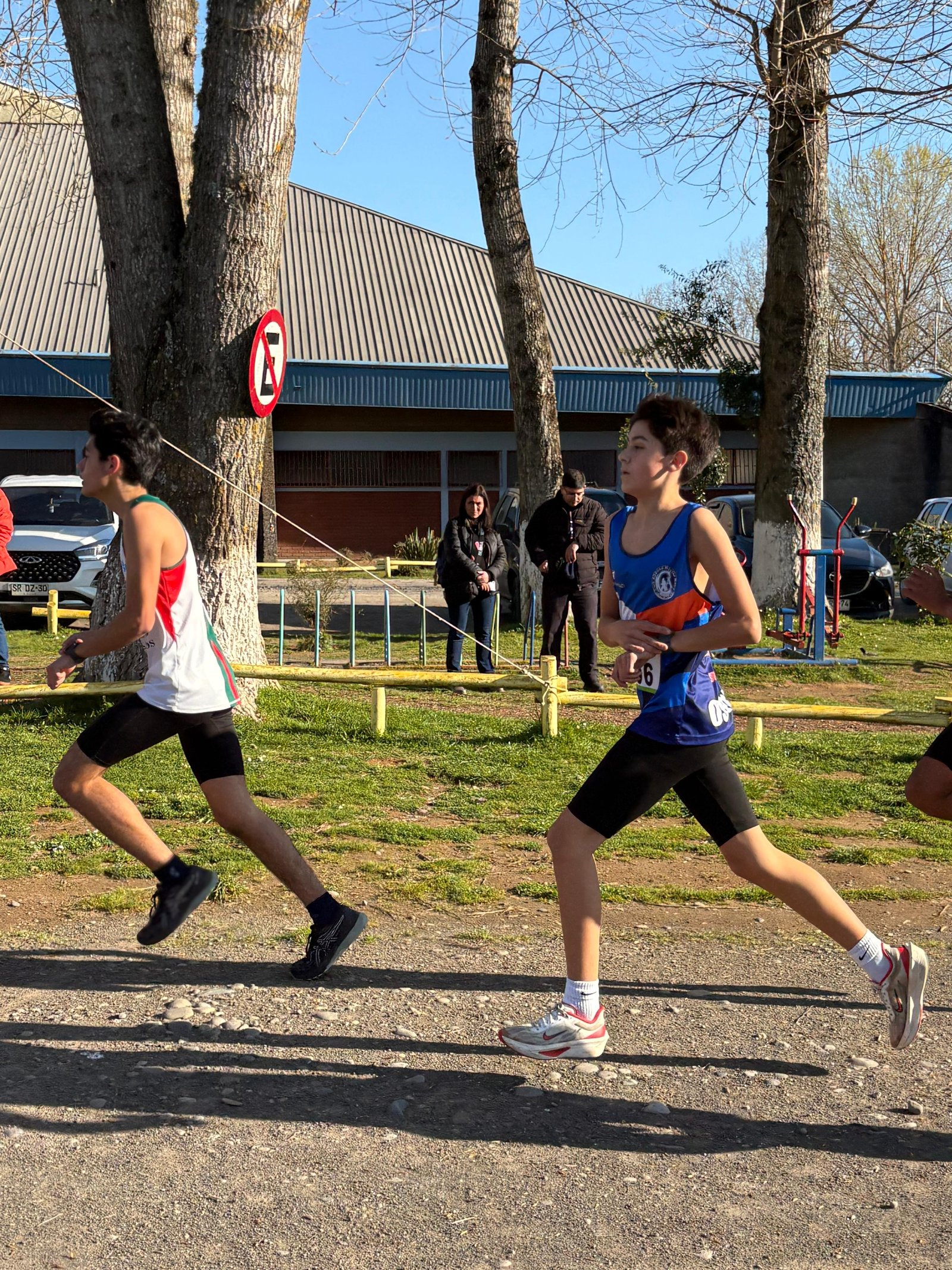 Campeonato RegionalCross Country